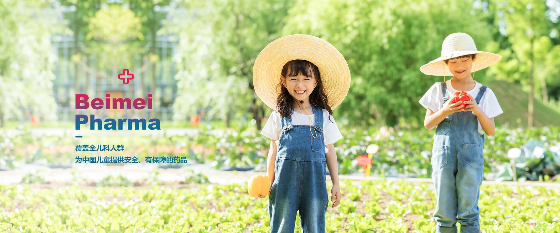 2022年11月貝美藥業(yè)自主研發(fā)的又一個品種，獲得生產(chǎn)許可B證！